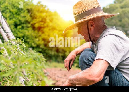 Homme jardinant avec chapeau de paille à la lumière du soleil Banque D'Images