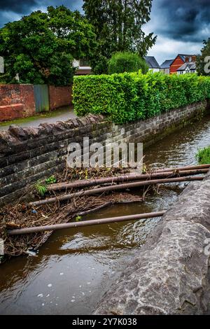 Débris bloquant l'écoulement de l'eau dans un ruisseau urbain à Whitchurch, Cardiff, pays de Galles, Royaume-Uni. Crues soudaines. Inondation. Environnement. Conditions météorologiques extrêmes. Pluies Banque D'Images