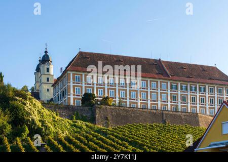 Château de Schloss Stainz, vignoble, Schilcherland région viticole de Schilcher Stainz Süd-Steiermark Steiermark, Styrie Autriche Banque D'Images