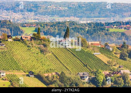 Vignoble au hameau Hochgrail, Schilcherland Schilcher région viticole Sankt Stefan ob Stainz Süd-Steiermark Steiermark, Styrie Autriche Banque D'Images