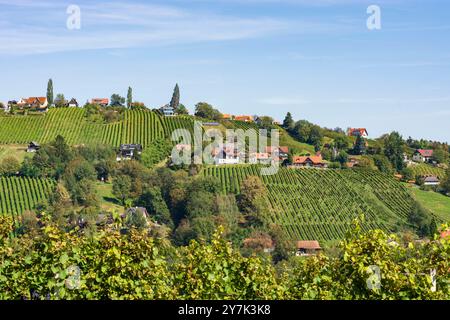 Vignoble au hameau Neuberg, Schilcherland Schilcher région viticole Sankt Stefan ob Stainz Süd-Steiermark Steiermark, Styrie Autriche Banque D'Images