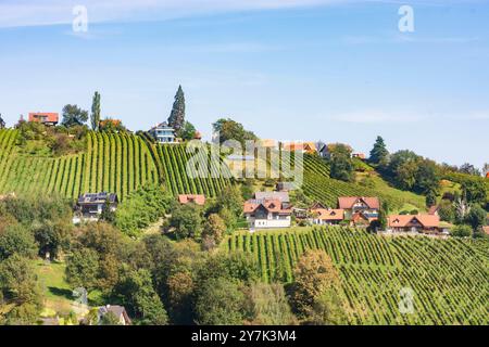 Vignoble au hameau Neuberg, Schilcherland Schilcher région viticole Sankt Stefan ob Stainz Süd-Steiermark Steiermark, Styrie Autriche Banque D'Images