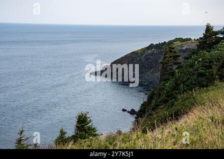 Vue de Middle Cove depuis Marine Drive à Logy Bay-Middle Cove-Outer Cove, Terre-Neuve-et-Labrador, Canada Banque D'Images