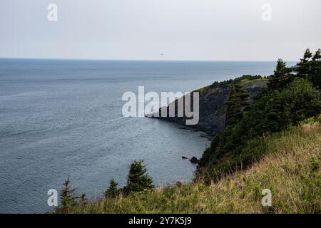 Vue de Middle Cove depuis Marine Drive à Logy Bay-Middle Cove-Outer Cove, Terre-Neuve-et-Labrador, Canada Banque D'Images