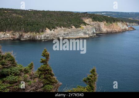 Vue de Middle Cove depuis Marine Drive à Logy Bay-Middle Cove-Outer Cove, Terre-Neuve-et-Labrador, Canada Banque D'Images