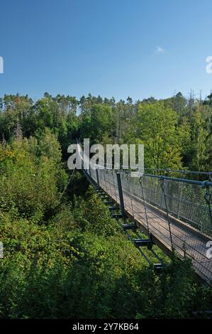 Pont suspendu Hohe Schrecke près de Braunslage en Thuringe Banque D'Images