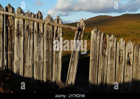 Clôture en bois vieilli, Highlands écossais, Écosse, Royaume-Uni Banque D'Images