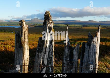 Clôture en bois vieilli, Highlands écossais, Écosse, Royaume-Uni Banque D'Images