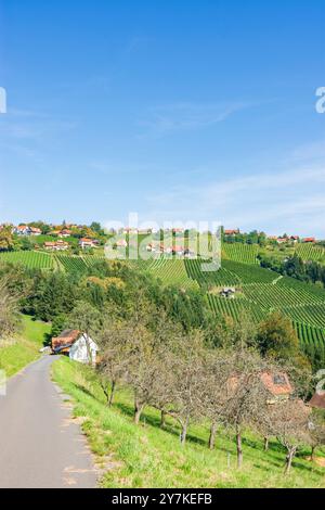 Sankt Stefan ob Stainz : vignoble du hameau Hochgrail, Schilcherland (région viticole de Schilcher) à Süd-Steiermark, Steiermark, Styrie, Autriche Banque D'Images