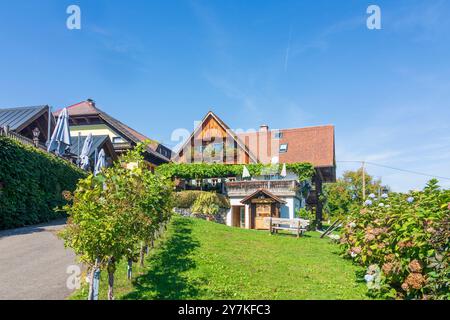 Sankt Stefan ob Stainz : taverne Heuriger au hameau Langegg, Schilcherland (région viticole de Schilcher) à Süd-Steiermark, Steiermark, Styrie, Autriche Banque D'Images