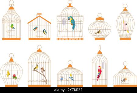 Oiseaux de dessins animés dans des cages. Oiseau décoratif et perroquets dans une cage différente. Canari bullfinch cockatoo budgie, brésil oiseaux exotiques de nos jours clipart vecteur Illustration de Vecteur