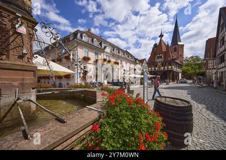 Place du marché avec fontaine du marché et géraniums, hôtel de ville historique et bâtiments sous un ciel bleu avec cumulus nuages à Michelstadt, Odenwald, Oden Banque D'Images