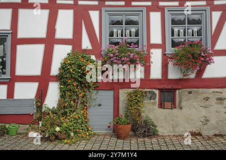 Maison à colombages avec deux fenêtres, décoration florale et arrosoir, idylle avec des pots de fleurs, Rossmarkt, vieille ville, Limbourg, Hesse, Allemagne, Europe Banque D'Images