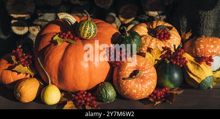 Composition d'automne avec des citrouilles, des baies et des feuilles en gros plan. Beau fond de citrouille d'automne. Banque D'Images