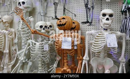 Los Angeles, Californie, USA 28 septembre 2024 squelettes décorations avec des costumes et des masques d'Halloween au Hollywood Toy & costume Store sur Hollywood Blvd le 28 septembre 2024 à Los Angeles, Californie, USA. Photo de Barry King/Alamy Stock photo Banque D'Images