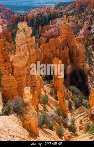 Bryce Canyon National Park, Utah Banque D'Images