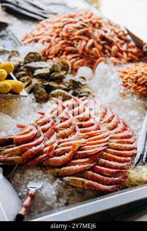 Assortiment de fruits de mer frais sur glace au marché. Crevettes, huîtres et maïs pour la photographie et les menus Banque D'Images