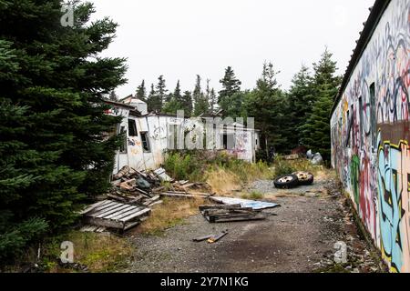 Graffiti marqués sur les bâtiments à la station centrale de reproduction porcine abandonnée délabrée au Portugal Cove, Philip's, Terre-Neuve-et-Labrador, Canada Banque D'Images