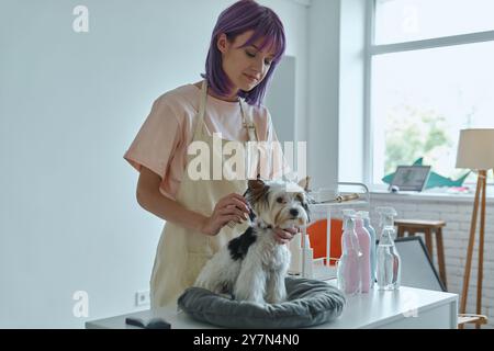 Femme confiante prenant soin du petit chien au salon de toilettage Banque D'Images