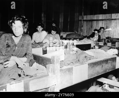 Les survivantes du camp de concentration de Mauthausen reposent dans des couchettes en bois dans la caserne de l'hôpital. Mauthausen était un camp de travaux forcés nazi, faisant partie du complexe de Mauthausen. À son apogée, il y avait 85 000 prisonniers à la fois. Il était tristement célèbre pour sa dureté - on estime que sur les 190 000 prisonniers détenus pendant ses opérations, la moitié est morte. Il abritait la carrière de Wiener Graben et ses redoutables escaliers de la mort (Todessteige) où beaucoup moururent en transportant d'énormes charges sur les 186 marches de pierre. La photo est datée du 8 mai 1945, trois jours après sa libération. Banque D'Images