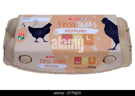 boîte à espar hongroise fermée de dix gros oeufs découpés sur fond blanc Banque D'Images