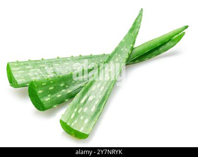 Coupes fraîches de feuilles d'aloe Vera isolées sur fond blanc. Banque D'Images