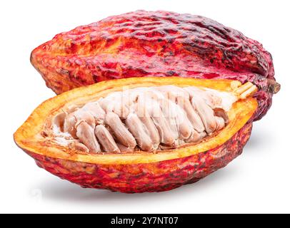 Fruit de cacao et la moitié de fruit avec des haricots frais à l'intérieur sur fond blanc. Masque. Banque D'Images