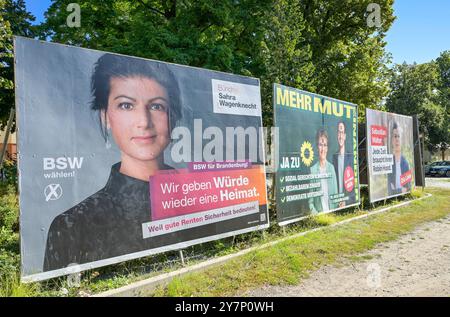 Sahra Wagenknecht BSW, affiches électorales pour l'élection de l'État de Brandebourg le 22 septembre 2024, Potsdam, Brandebourg, Allemagne, Wahlplakate zur la Banque D'Images