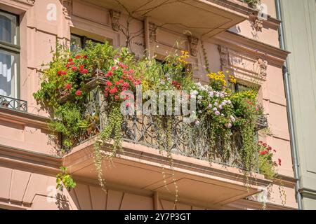 Balcon vert, bâtiment ancien, Kopischstraße, Kreuzberg, Berlin, Allemagne, Grüner Balkon, Altbau, Deutschland Banque D'Images