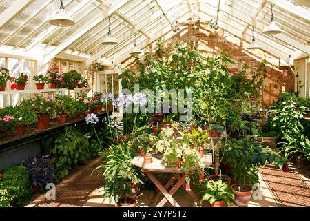 Cambo Gardens Fife Écosse à l'intérieur d'été d'une serre pleine de fleurs et de plantes diverses Banque D'Images
