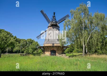 Britzer Mill, Buckower Damm, Britz, Neukölln, Berlin, Allemagne, Britzer Mühle, Deutschland Banque D'Images