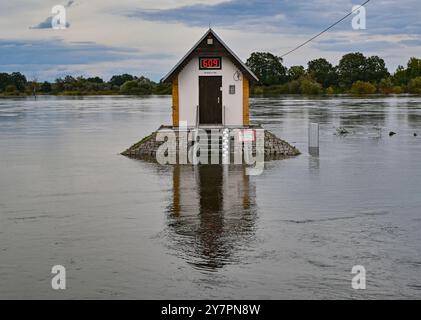 Ratzdorf, Allemagne. 25 septembre 2024. Le niveau d'eau de 6,09 mètres est affiché sur un écran à la maison de jauge à Ratzdorf, non loin du confluent des rivières Neisse et Oder. Pour l'inondation de 2024 sur l'Oder, cette valeur de 6,09 mètres était la valeur la plus élevée à l'écartement à Ratzdorf. A titre de comparaison : 6,91 mètres ont été mesurés à Ratzdorf pendant les inondations de 1997. Le niveau d'eau normal de la rivière ici est d'environ 2,50 mètres. Crédit : Patrick Pleul/dpa/Alamy Live News Banque D'Images