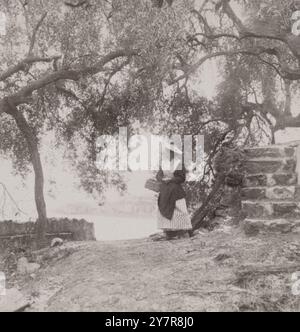 Photographie vintage du Vieux Menton, depuis les terrasses d'oliviers, Sud de la France. 1898 Banque D'Images