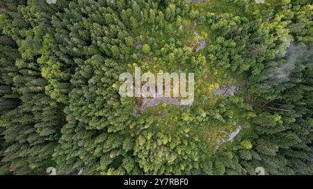 Vue aérienne d'une forêt dense à feuilles persistantes entourant une zone marécageuse avec des parcelles de verdure et d'eau dans un paysage sauvage éloigné. Banque D'Images