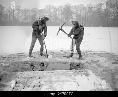 LIT DANS LA GLACE. Chaque dimanche, un groupe de passionnés portant leurs combinaisons d'exposition plongent dans les eaux glacées de Laughing Water Creek, Dartford, Kent. Mais aujourd'hui, avant de pouvoir profiter de leur baignade, ils ont dû briser la glace épaisse. PHOTOS I.N.P. Mlle Pauline M. Ady, 24 ans, de Teddington, va nager dans un appareil Banque D'Images