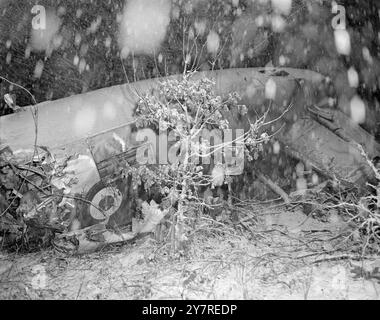 UN AVION DE TRANSPORT DE LA RAF S'ÉCRASE DANS LA NEIGE DE BLIZZARD. 20 PORTANT L'ÉQUIPE DE RUGBY. 6,1.54. Un avion de transport de la RAF Valetta a décollé cet après-midi de Bovingdon (Herts) pour retourner à sa base à Thorney Island. Il s'est écrasé quelques minutes après le décollage. Outre l'équipage, il y avait des membres d'une équipe de rugby de la RAF à bord de l'avion condamné. Il s'est écrasé dans un pays boisé et enneigé à Toms Hill, Ashridge Park, Tring, Herts. Bientôt, les équipes de secours et les équipes d'ambulance étaient sur place, mais elles étaient aveuglées par les vents violents et la neige. Quinze des occupants sont maintenant morts, et le seul survivant est en t Banque D'Images