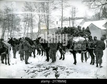 PL 52071 LES TROUPES américaines EN ALSACE AVANCENT AVEC DES troupes DE TRAIN MULETIER de la 7e armée américaine préparent un train muletier avant d'avancer quelque part le long du front américain en Alsace, en France. De fortes chutes de neige ont rendu cette méthode de transport nécessaire dans cette région. Le Supreme Headquarters Allied Expeditionary Force rapporte le 11 février 1945 que la rive gauche du Rhin est dégagée de l'ennemi depuis la frontière suisse jusqu'à environ 12 miles au nord. De Strasbourg, mais qu'au-delà de ce point, les unités de la septième armée américaine poussaient contre la résistance nazie dans une course vers le Rhin à Druse Banque D'Images