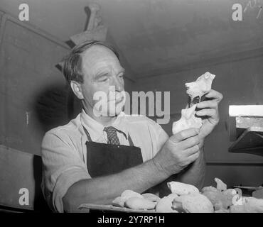 HENRY MOORE, SCULPTEUR. Henry Moore, le sculpteur, examine deux des nombreuses pierres qu'il a rassemblées à Broadstairs, Kent, alors qu'il était en vacances avec sa famille récemment. Les nombreuses formes assorties des pierres lui donnent des idées pour ses créations. 15 août 1952 Banque D'Images