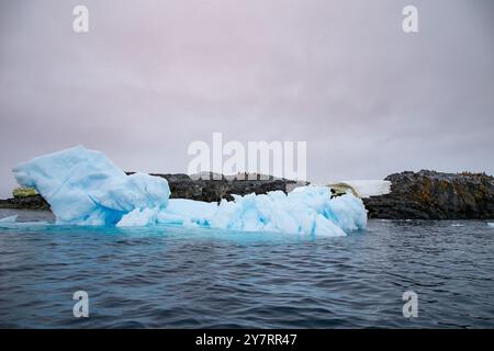 Iceberg et Adélie Penguins sur l'île de Yalour, péninsule Antarctique Banque D'Images
