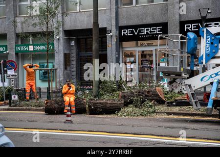Milan, Italie. 1er octobre 2024. Taglio alberi in via Fabio Filzi Milano - Italia - Cronaca Martedì, 01 Ottobre, 2024 (Foto di Marco Ottico/Lapresse) coupe d'arbres in via Fabio Filzi Milan, Italie - Actualités mardi, 01 octobre, 2024 (photo de Marco Ottico/Lapresse) crédit : LaPresse/Alamy Live News Banque D'Images