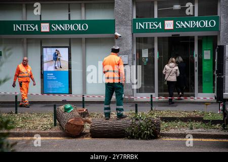 Milan, Italie. 1er octobre 2024. Taglio alberi in via Fabio Filzi Milano - Italia - Cronaca Martedì, 01 Ottobre, 2024 (Foto di Marco Ottico/Lapresse) coupe d'arbres in via Fabio Filzi Milan, Italie - Actualités mardi, 01 octobre, 2024 (photo de Marco Ottico/Lapresse) crédit : LaPresse/Alamy Live News Banque D'Images