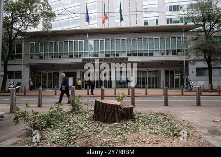 Milan, Italie. 1er octobre 2024. Taglio alberi in via Fabio Filzi Milano - Italia - Cronaca Martedì, 01 Ottobre, 2024 (Foto di Marco Ottico/Lapresse) coupe d'arbres in via Fabio Filzi Milan, Italie - Actualités mardi, 01 octobre, 2024 (photo de Marco Ottico/Lapresse) crédit : LaPresse/Alamy Live News Banque D'Images