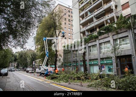 Milan, Italie. 1er octobre 2024. Taglio alberi in via Fabio Filzi Milano - Italia - Cronaca Martedì, 01 Ottobre, 2024 (Foto di Marco Ottico/Lapresse) coupe d'arbres in via Fabio Filzi Milan, Italie - Actualités mardi, 01 octobre, 2024 (photo de Marco Ottico/Lapresse) crédit : LaPresse/Alamy Live News Banque D'Images