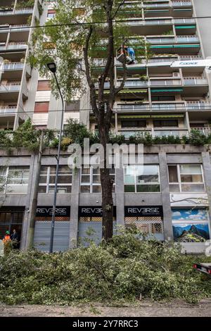 Milan, Italie. 1er octobre 2024. Taglio alberi in via Fabio Filzi Milano - Italia - Cronaca Martedì, 01 Ottobre, 2024 (Foto di Marco Ottico/Lapresse) coupe d'arbres in via Fabio Filzi Milan, Italie - Actualités mardi, 01 octobre, 2024 (photo de Marco Ottico/Lapresse) crédit : LaPresse/Alamy Live News Banque D'Images