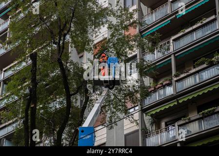 Milan, Italie. 1er octobre 2024. Taglio alberi in via Fabio Filzi Milano - Italia - Cronaca Martedì, 01 Ottobre, 2024 (Foto di Marco Ottico/Lapresse) coupe d'arbres in via Fabio Filzi Milan, Italie - Actualités mardi, 01 octobre, 2024 (photo de Marco Ottico/Lapresse) crédit : LaPresse/Alamy Live News Banque D'Images