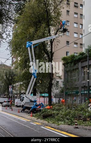 Milan, Italie. 1er octobre 2024. Taglio alberi in via Fabio Filzi Milano - Italia - Cronaca Martedì, 01 Ottobre, 2024 (Foto di Marco Ottico/Lapresse) coupe d'arbres in via Fabio Filzi Milan, Italie - Actualités mardi, 01 octobre, 2024 (photo de Marco Ottico/Lapresse) crédit : LaPresse/Alamy Live News Banque D'Images