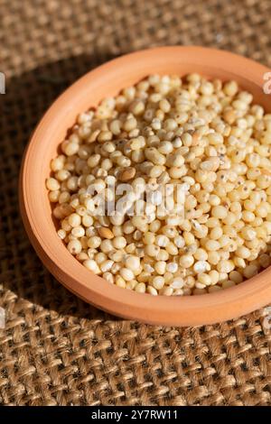 Millet en terre cuite Bow, Panicum Miliaceum Banque D'Images