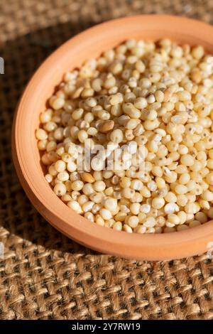 Millet en terre cuite Bow, Panicum Miliaceum Banque D'Images