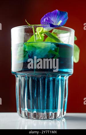 gros plan d'un verre d'eau de fleurs de pois papillon sur un fond orange Banque D'Images