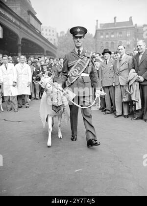 LEWIS VOYAGE EN TANT QUE V.I.P.- AVEC SEAU ET BÊCHE avec la pompe et la cérémonie en raison d'un personnage de renommée internationale, Lewis la chèvre ( Flight Sergeant , retraité , et membre honoraire à vie de la Royal Air Force Association ) a quitté Victoria Station , Londres , pour se joindre à plus d'un millier de délégués à la Conférence annuelle de la R.A.F. Association à Margate . Lewis , anciennement mascotte de Halton R.A.F. Station , avait quitté sa maison d'après-guerre au Sanatorium du dispensaire du peuple pour les animaux malades , Ilford , pour être accueilli par une garde d'honneur R.A.F. à l'entrée de la station et à tra Banque D'Images